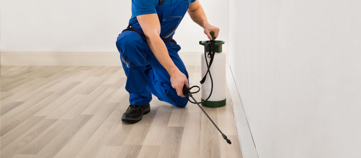 Amazing Tips To Hire The Finest Pest Controllers In Southend - Susan Philmar