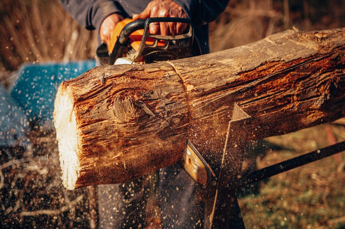 tree surgeon