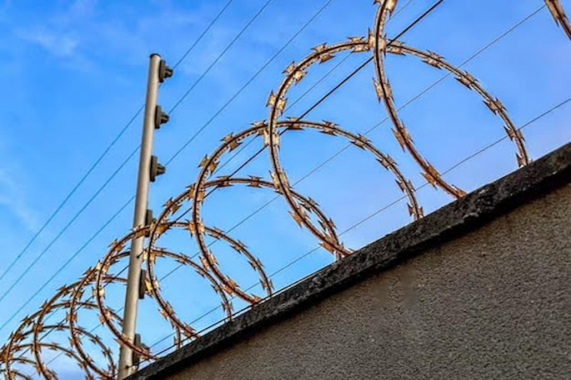 Electric Fencing